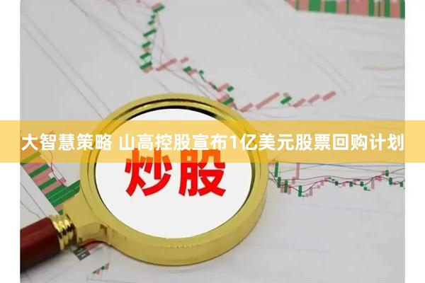 大智慧策略 山高控股宣布1亿美元股票回购计划