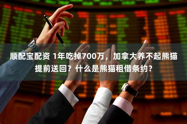 顺配宝配资 1年吃掉700万，加拿大养不起熊猫提前送回？什么是熊猫租借条约？